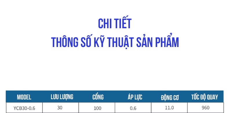 Thông số kỹ thuật bơm bánh răng YCB30/0.6