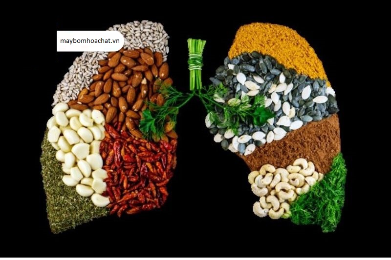 Thực phẩm tốt cho ung thư phổi